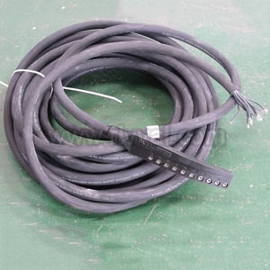 10 Way Moulded Termination + Free End, 10.0M Cable