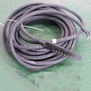 10 Way Moulded Termination + Free End, 15.0M Cable.