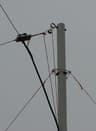 A small picture of stakes