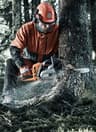 A small picture of 16inch chainsaws