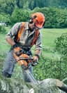 A small picture of 24inch chainsaws